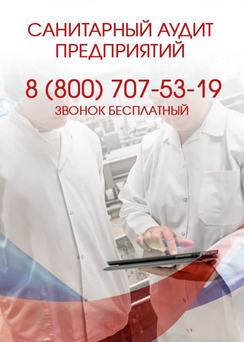 Санитарный аудит
