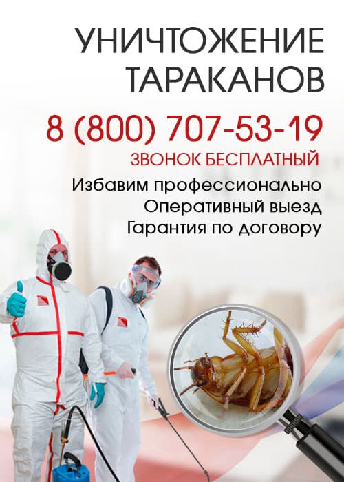 Уничтожение тараканов
