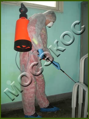 Дезинсекция подвала