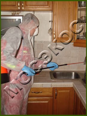 дезинсекция кухни
