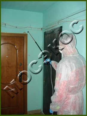 дезинсекция здания
