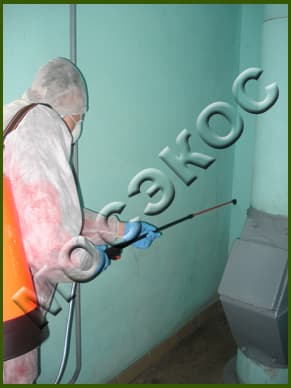 дезинсекция зданияа