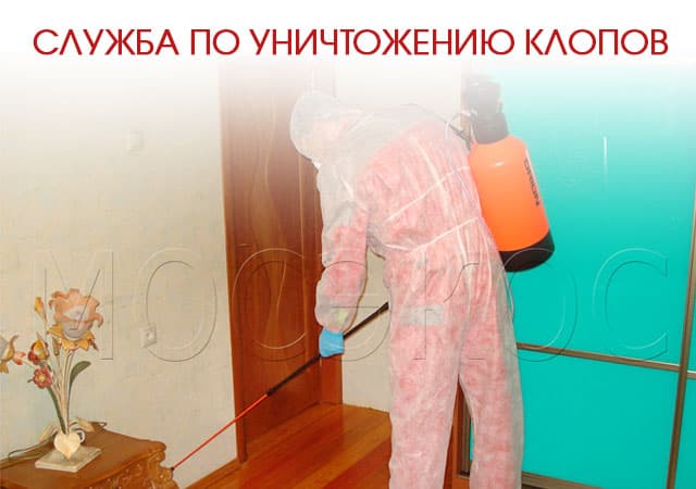 Служба по уничтожению клопов в Люберцах