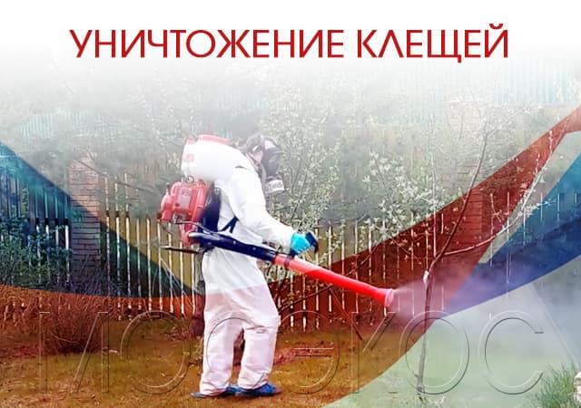 Обработка территорий от клещей в Люберцах