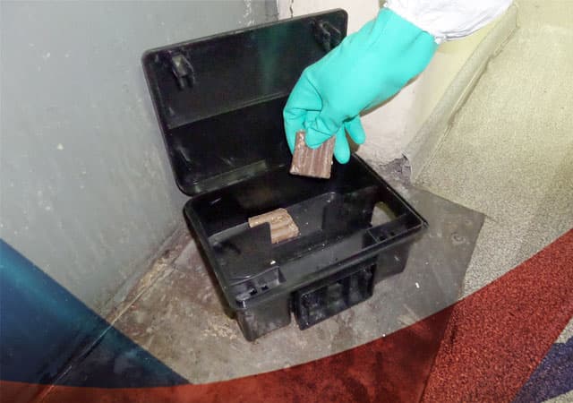 Дератизация. Уничтожение крыс в Люберцах
