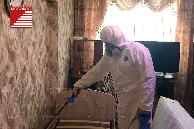 Дезинфекция от клопов в квартире в Люберцах