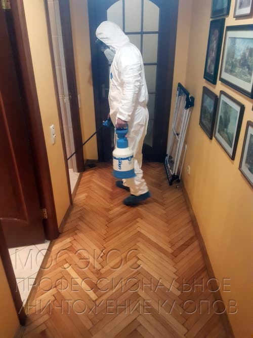 Клопы в квартире. Уничтожеие